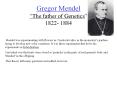 Gregor Mendel  PowerPoint PPT Presentation
