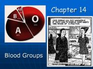 Blood Groups