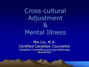 Cross-cultural Adjustment