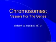Chromosomes:%20Vessels%20For%20The%20Genes