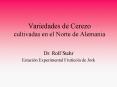 Variedades de Cerezo cultivadas en el Norte de Alemania PowerPoint PPT Presentation
