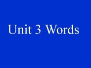 Unit 3 Words