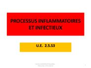 PROCESSUS INFLAMMATOIRES ET INFECTIEUX