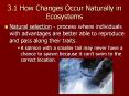 3.1 How Changes Occur Naturally in Ecosystems PowerPoint PPT Presentation