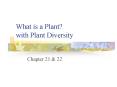 What is a Plant? with Plant Diversity PowerPoint PPT Presentation