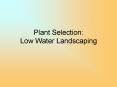 Plant Selection: Low Water Landscaping PowerPoint PPT Presentation