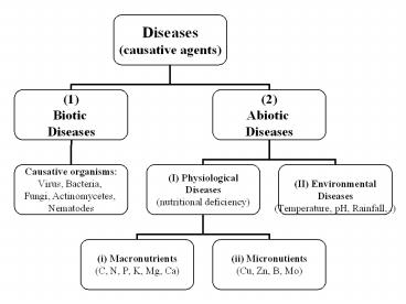 ABIOTIC DISEASES