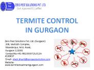 Termite Control in Gurgaon