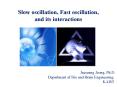 Slow oscillation, Fast oscillation, and its interactions PowerPoint PPT Presentation