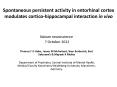 Spontaneous persistent activity in entorhinal cortex modulates cortico-hippocampal interaction in vivo PowerPoint PPT Presentation