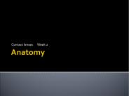 Anatomy