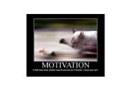 Porcine Endoparasites and Ectoparasites