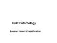 Unit: Entomology PowerPoint PPT Presentation