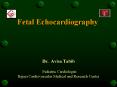 Fetal Echocardiography PowerPoint PPT Presentation