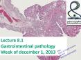 Gastrointestinal pathology PowerPoint PPT Presentation