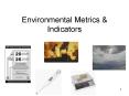 Environmental Metrics PowerPoint PPT Presentation