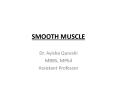 SMOOTH MUSCLE PowerPoint PPT Presentation