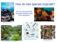 How do new species originate? PowerPoint PPT Presentation