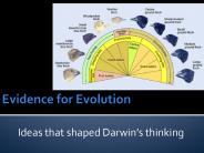 Evidence for Evolution