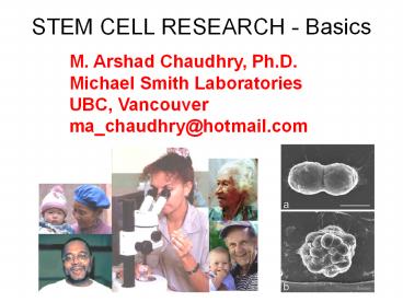 STEM CELL RESEARCH - Basics