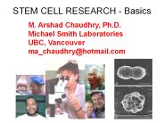 STEM CELL RESEARCH - Basics