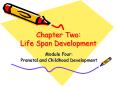 Chapter Two: Life Span Development PowerPoint PPT Presentation