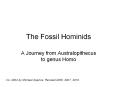 The Fossil Hominids PowerPoint PPT Presentation