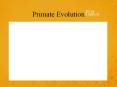 Primate Evolution PowerPoint PPT Presentation