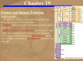 Primate and Human Evolution main points PowerPoint PPT Presentation