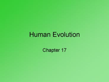 Human Evolution