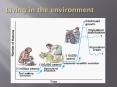 Living in the environment PowerPoint PPT Presentation
