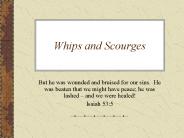 Whips and Scourges