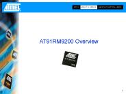 AT91 Sales Presentation 0102