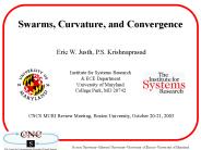 Swarms, Curvature, and Convergence