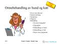 Ormebehandling av hund og katt PowerPoint PPT Presentation