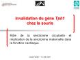 Invalidation du g PowerPoint PPT Presentation