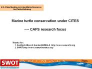 Marine turtle conservation under CITES  ----
