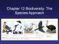 Chapter 12 Biodiversity: The Species Approach PowerPoint PPT Presentation