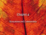 Ecosystems and Communities