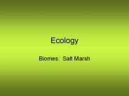 Ecology