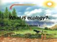 What is ecology? PowerPoint PPT Presentation