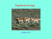 Population%20Ecology