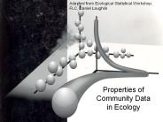 Properties of Community Data in Ecology
