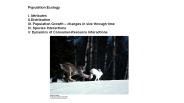Population Ecology