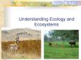 Understanding Ecology and Ecosystems PowerPoint PPT Presentation