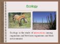 Ecology PowerPoint PPT Presentation