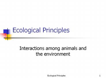 Interactions among animals and the environment