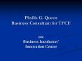 Phyllis G. Queen Business Consultant for TFCE PowerPoint PPT Presentation
