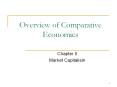 Overview of Comparative Economics PowerPoint PPT Presentation