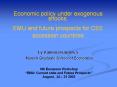 Economic policy under exogenous shocks:  EMU and future prospects for CEE accession countries  by Katerina Kalcheva PowerPoint PPT Presentation